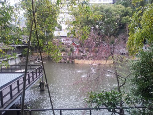 20130325_082458.jpg image