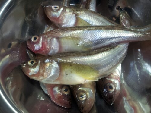 20130407_194757.jpg image