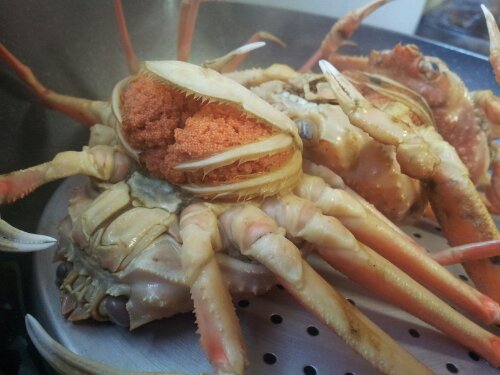 20131111_151904.jpg image