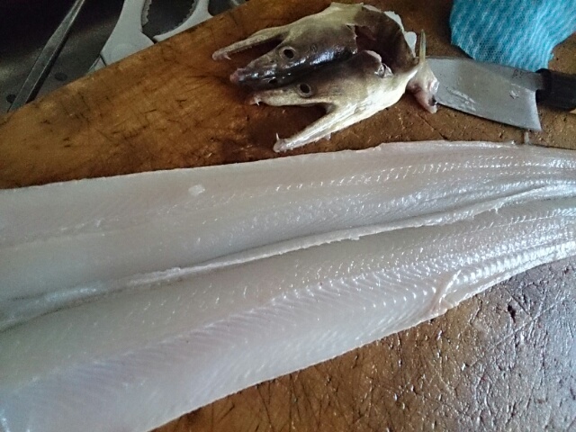 14413637752150.jpg image