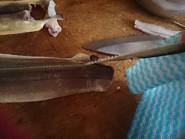 14413639072441.jpg image