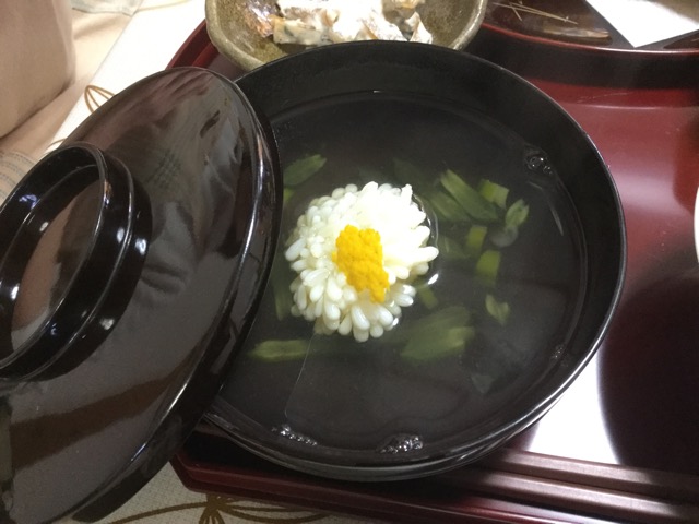 wp-1458484074598 image